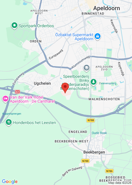 Google maps afbeelding voor Spoedplein Apeldoorn